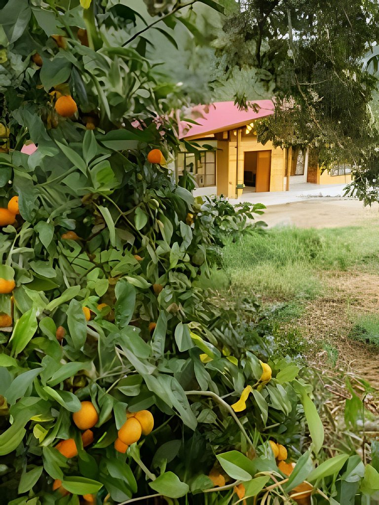 Casa campestre "El Roble" Fundo San Matías